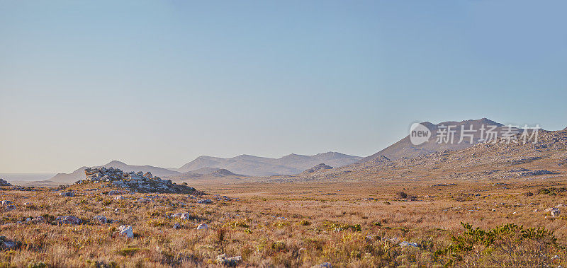 Cape Point国家公园的荒野